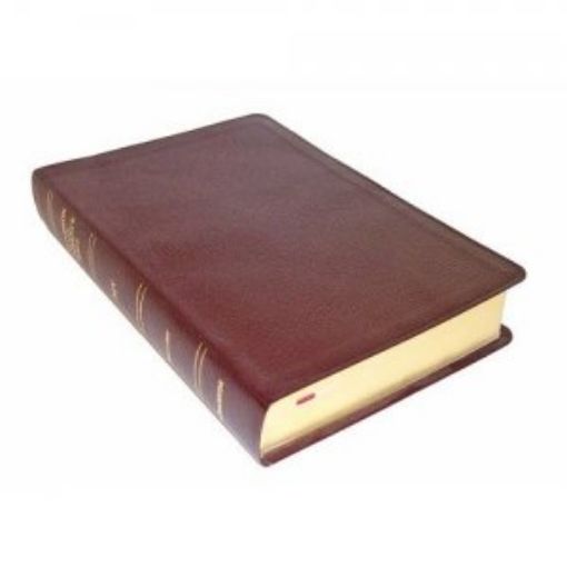 Picture of Niv- Thompson Chain Big
