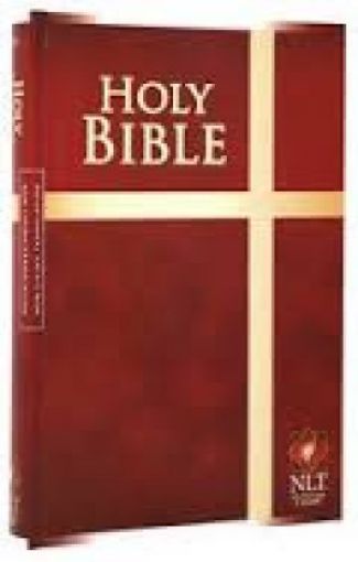 Picture of Nlt-Holy Bible-