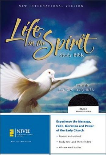 Picture of Niv-Life In/Spirit St. Bib.-Bk