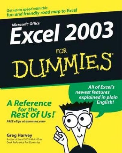 Picture of Bz-Dummies-Ms-Excel 2003