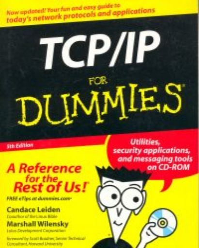 Picture of Tcp/Ip For Dummies