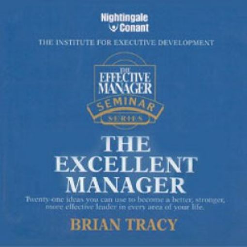Picture of The Excellent Manager