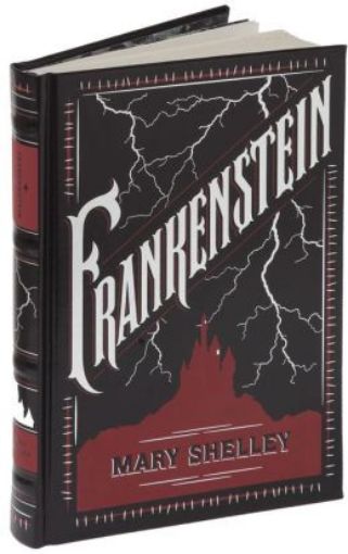 Picture of Frankenstein