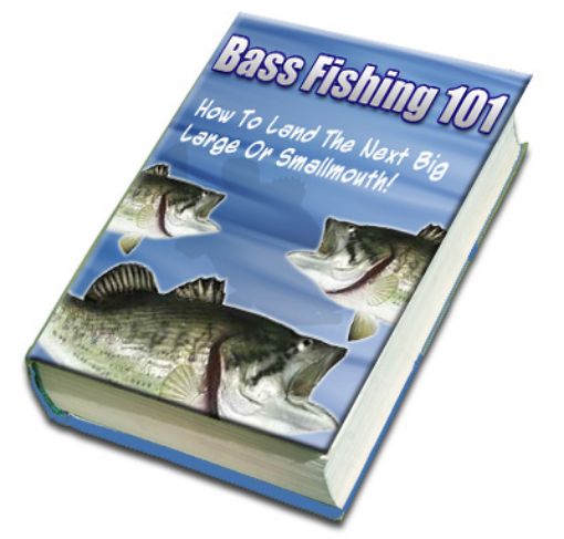 Picture of Bass Fishing 101