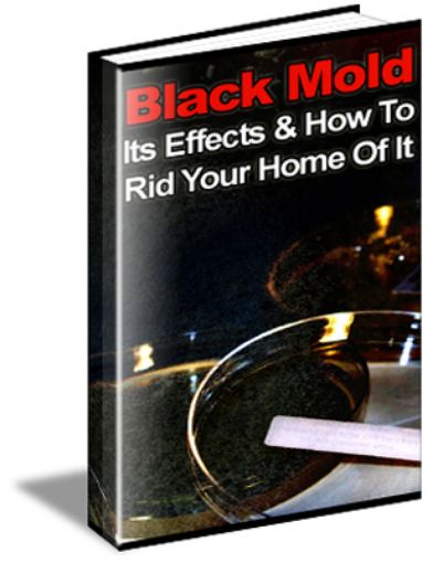 Picture of Black Mold, Its Effects & How to Rid Your Home of It