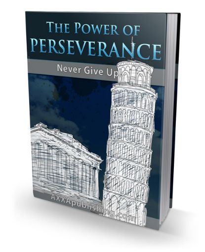 Picture of The Power of Perseverance-2