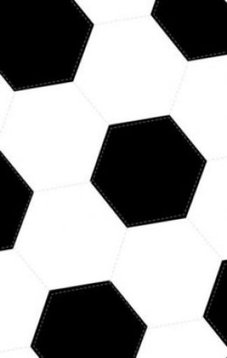 Picture of Sports Collection Bible, Niv -- Soccer