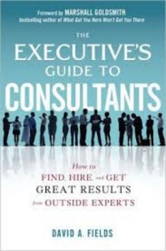 Picture of The Executive's Guide To Consultants
