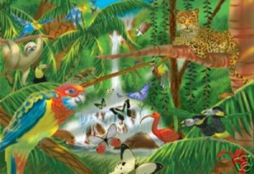 Picture of Rainforest Jigsaw Puzzle