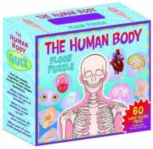 Picture of Human Body