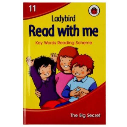 Picture of Big Secret
