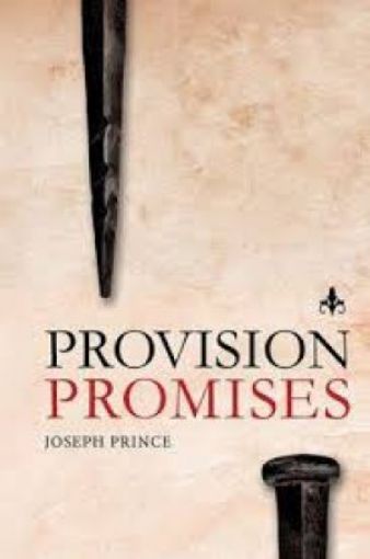 Picture of Provision Promises