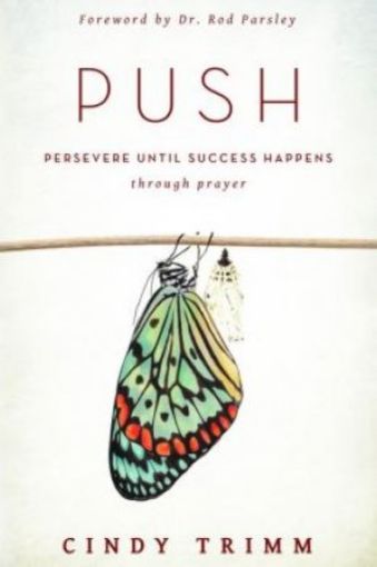 Picture of Push: Persevere Until Success Happens Through Prayer