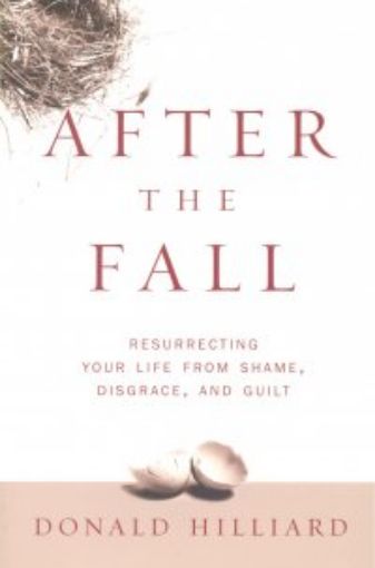 Picture of After The Fall