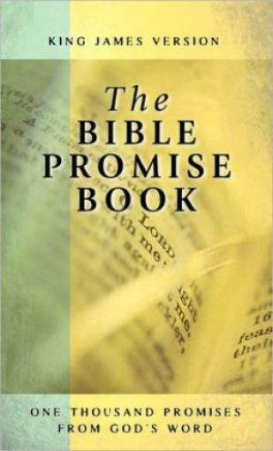 Picture of The Bible Promise Book