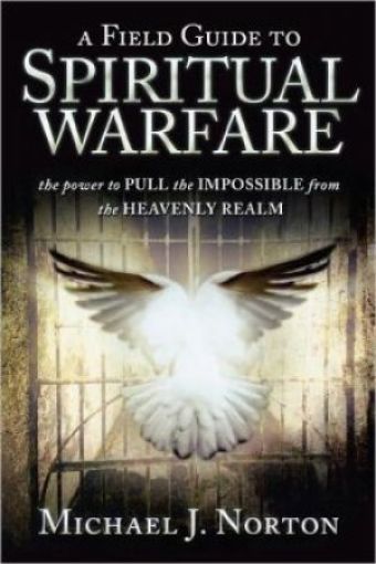 Picture of Field Guide To Spiritual Warfare