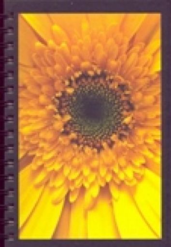 Picture of Sunflower-Large
