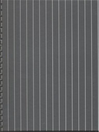Picture of B & W Pinstripes-Lg