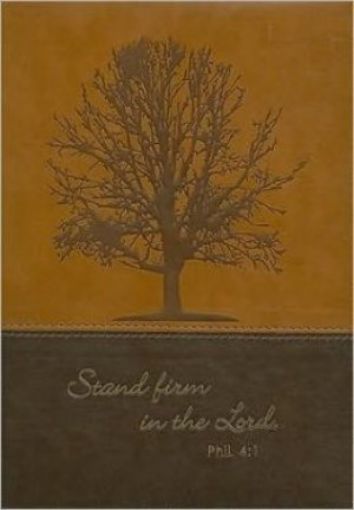 Picture of Stand Firm Brown Two Tone