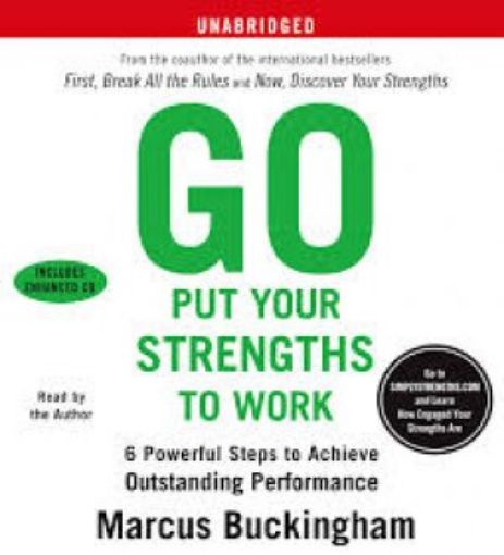 Picture of Go Put Your Strengths To Work: 6 Powerful Steps To Achieve Outstanding Performance
