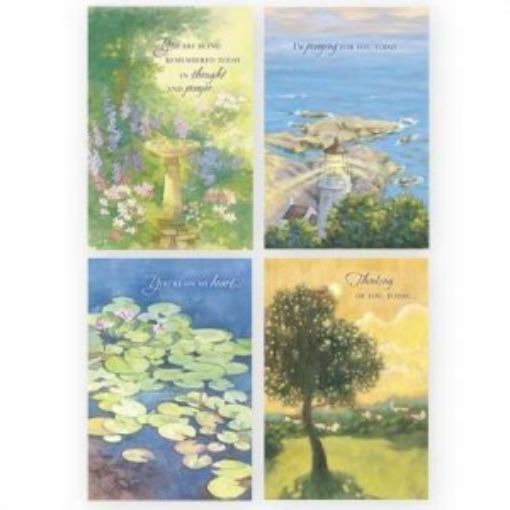 Picture of Boxed Cards - Praying For/Thinking Of Yo