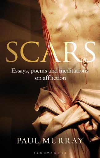 Picture of Scars: Essays, Poems and Meditations on Affliction