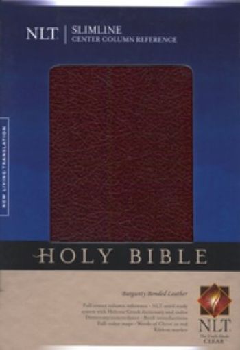 Picture of Nlt Slimline Center Column Reference Burgundy