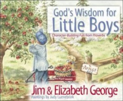 Picture of God's Wisdom For Little Boys