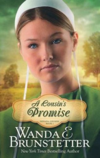 Picture of Cousin's Promise
