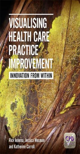 Picture of Visualising Health Care Practice Improvement: Innovation from within