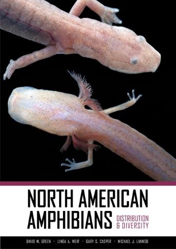 Picture of North American Amphibians: Distribution and Diversity