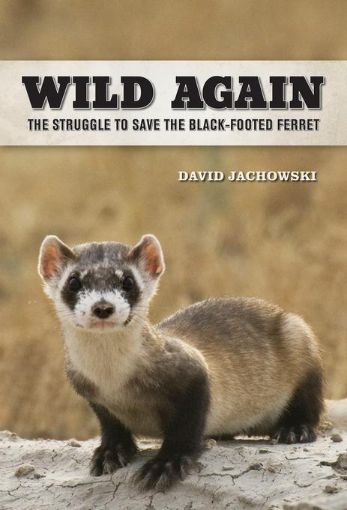 Picture of Wild Again: The Struggle to Save the Black-Footed Ferret