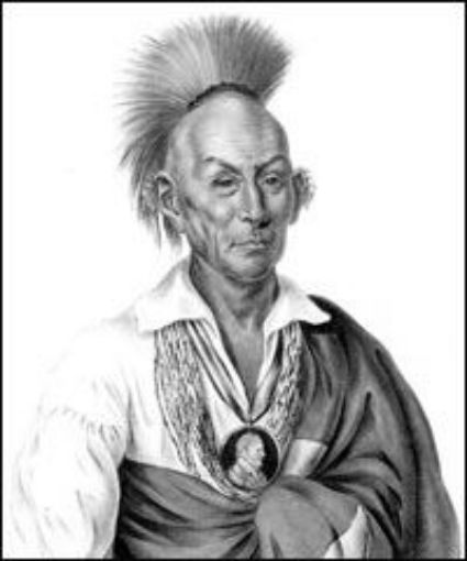 Picture of Black Hawk