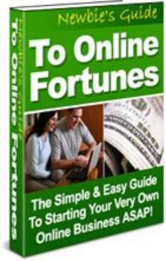 Picture of Newbie's Guide To Online Fortunes