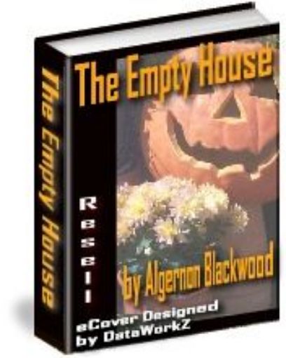 Picture of The Empty House