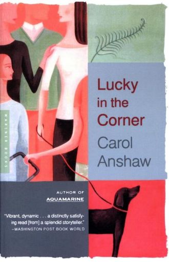 Picture of Lucky in the Corner: A Novel