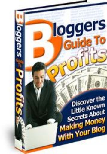 Picture of Bloggers Guide To Profits