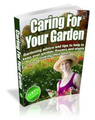 Picture of Caring For Yourg Garden