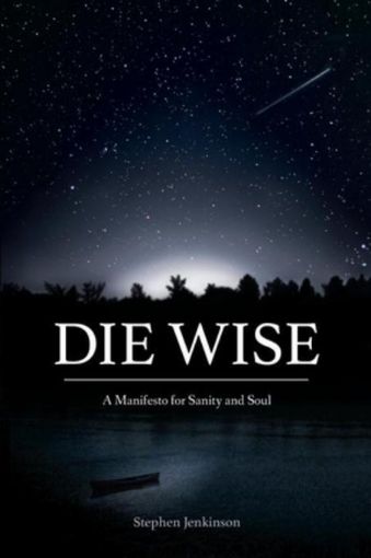 Picture of Die Wise: A Manifesto for Sanity and Soul