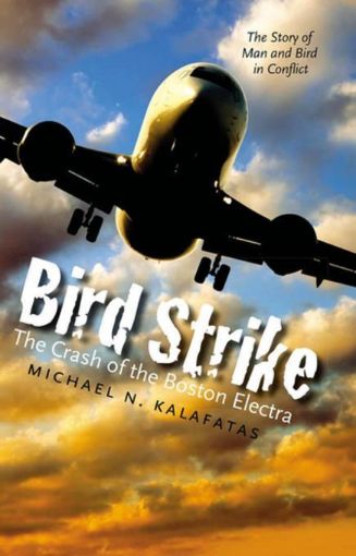 Picture of Bird Strike: The Crash of the Boston Electra