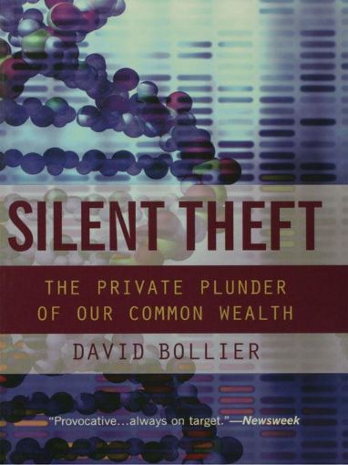 Picture of Silent Theft: The Private Plunder of Our Common Wealth