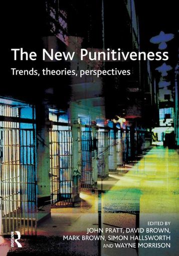 Picture of The New Punitiveness