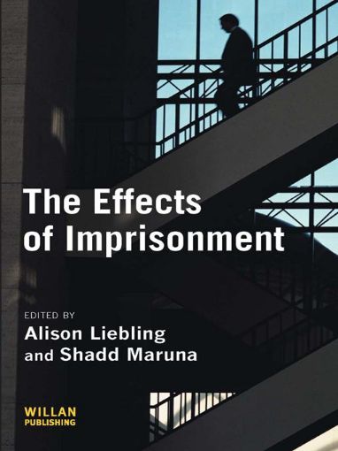 Picture of The Effects of Imprisonment