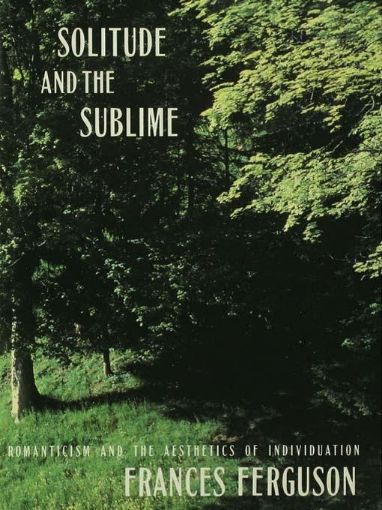 Picture of Solitude and the Sublime: The Romantic Aesthetics of Individuation