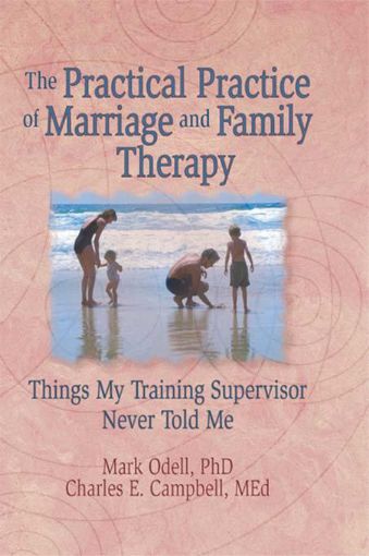 Picture of The Practical Practice of Marriage and Family Therapy: Things My Training Supervisor Never Told Me