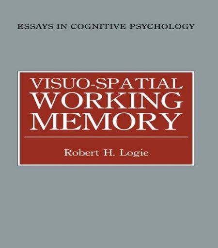 Picture of Visuo-spatial Working Memory