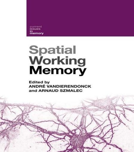Picture of Spatial Working Memory