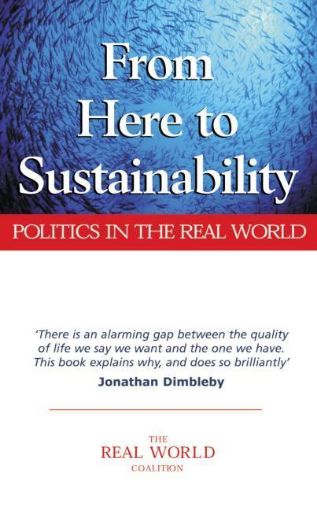 Picture of From Here to Sustainability: Politics in the Real World