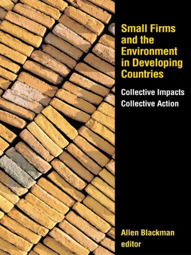 Picture of Small Firms and the Environment in Developing Countries: "Collective Impacts, Collective Action"