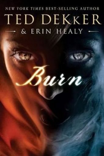 Picture of Burn